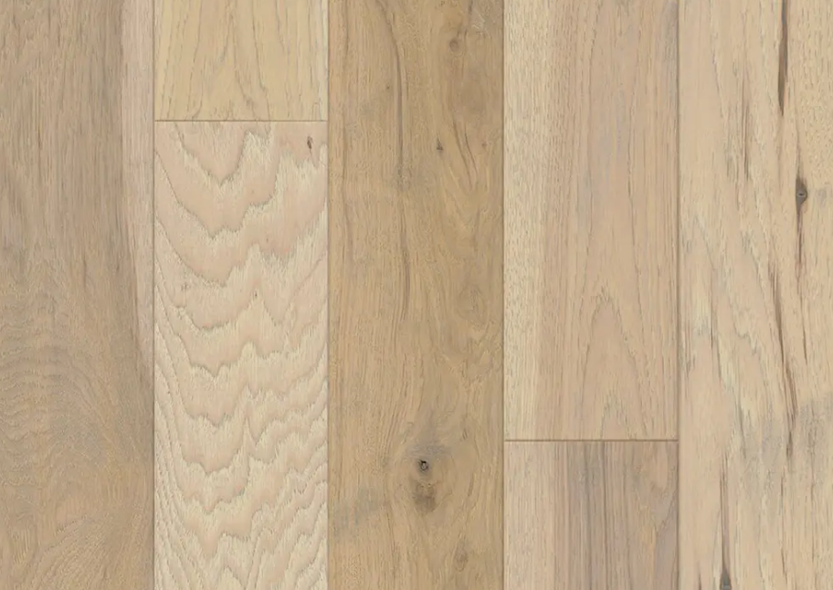 Dog walking on vinyl plank flooring